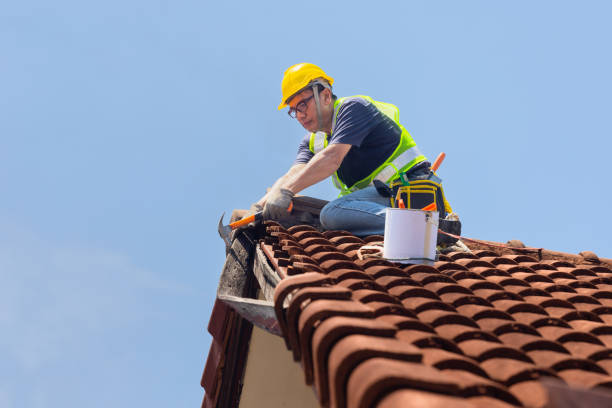 Best Asphalt Shingles Roofing  in USA